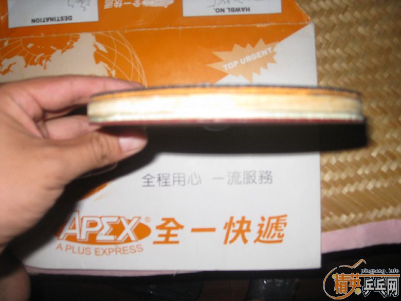 �ʺϴ�ѧ�ߵ���������