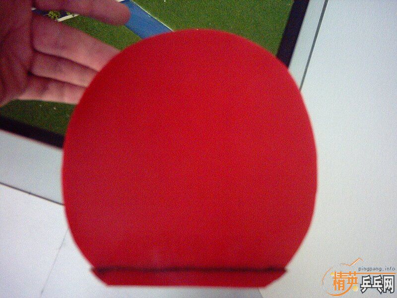 75�� �����38�Ⱥ�donic jo gold