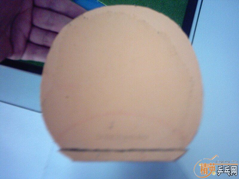 75�� �����38�Ⱥ�donic jo gold