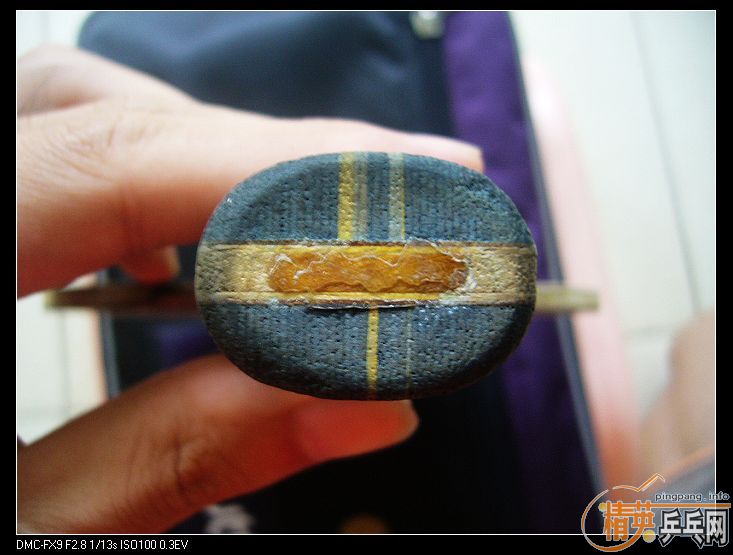 04���л�YE����ƻ���+05ʡ��+2��9.5�°Ե�������