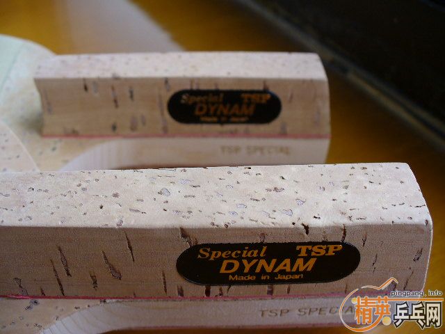 ֧ݳƾTSP DYNAM SPECIAL
