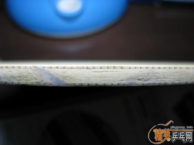 ����NITTAKU SEPTEAR(260Ԫ)�����µö��ƻ�Ȧ˫�����ʰ�