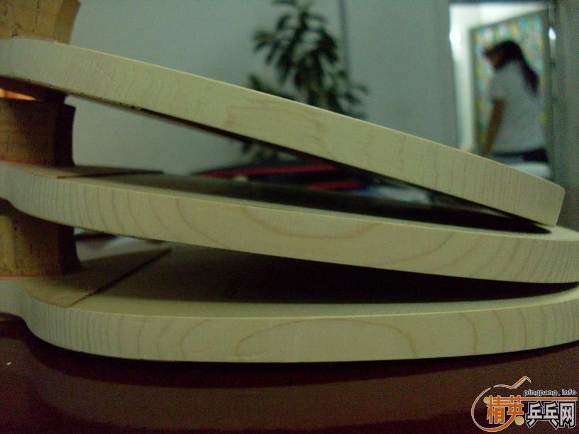 ���鶥���������ʼǱ�