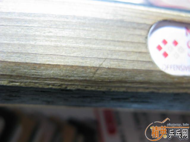 ����NITTAKU SEPTEAR(260Ԫ)�����µö��ƻ�Ȧ˫�����ʰ�