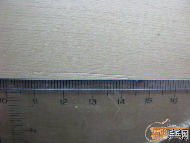 ����NITTAKU SEPTEAR(260Ԫ)�����µö��ƻ�Ȧ˫�����ʰ�