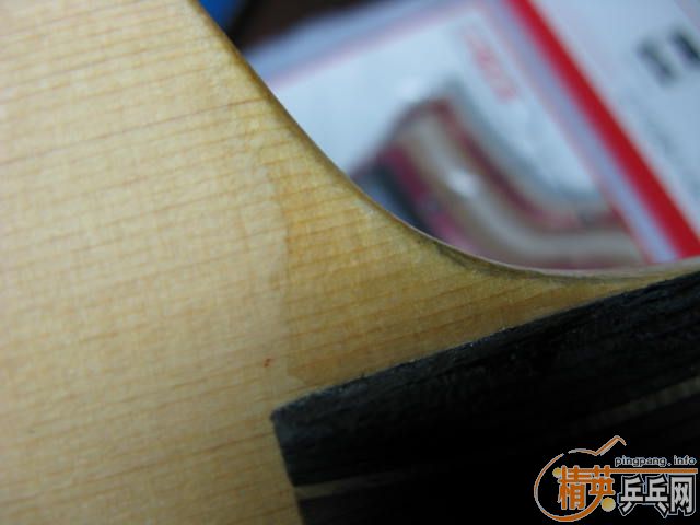 ����NITTAKU SEPTEAR(260Ԫ)�����µö��ƻ�Ȧ˫�����ʰ�