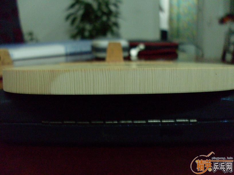 ���鶥���������ʼǱ�