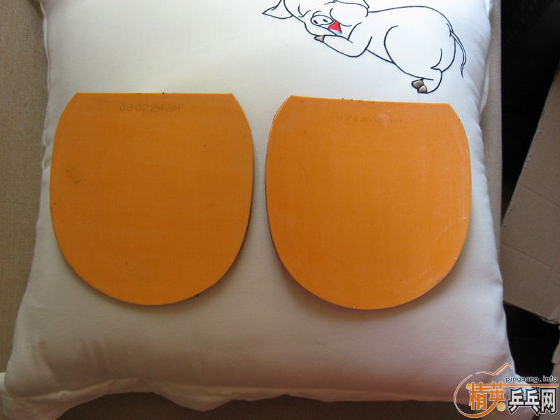 ���˳�����1���µ��ϰ��ӡYE