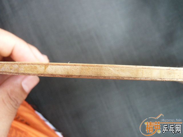 ��9.5��ͦ�� ��������