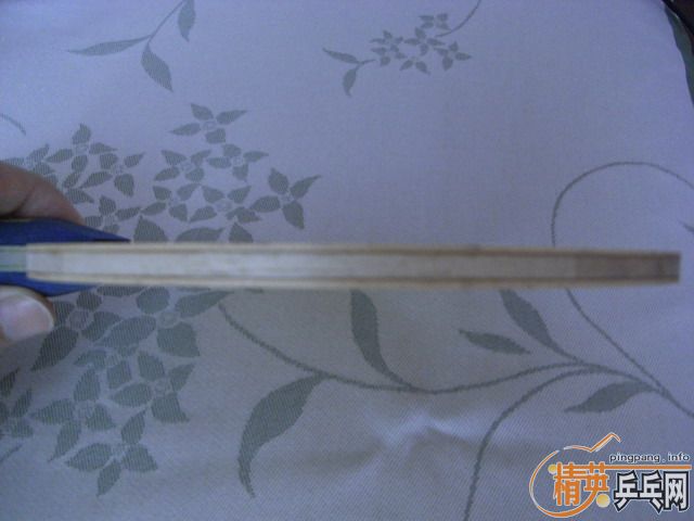 װ壺PHOTINOͰ