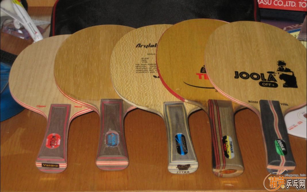 ��5��,VIVA,VIS,������,�հ�CL,300-600����