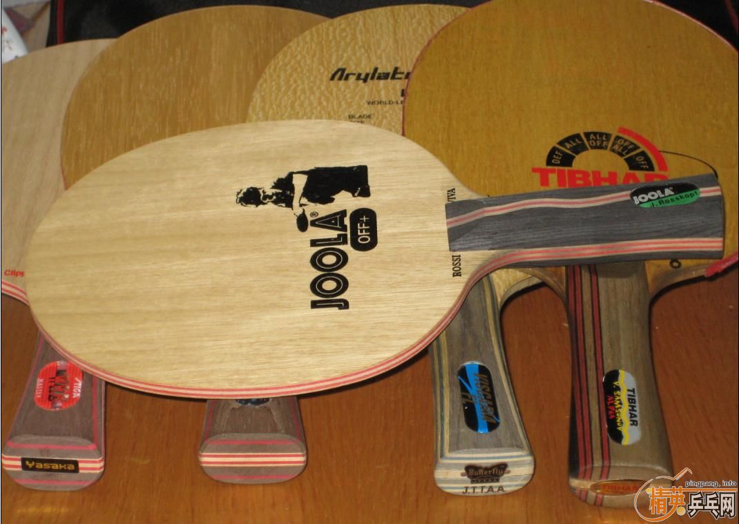 ��5��,VIVA,VIS,������,�հ�CL,300-600����