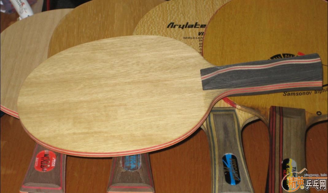 ��5��,VIVA,VIS,������,�հ�CL,300-600����