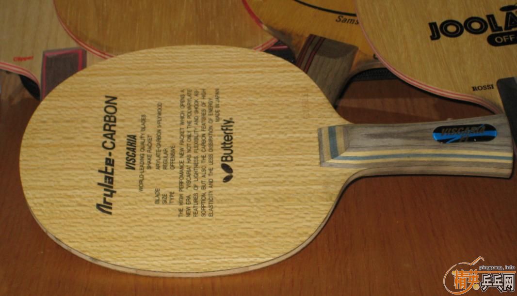 ��5��,VIVA,VIS,������,�հ�CL,300-600����