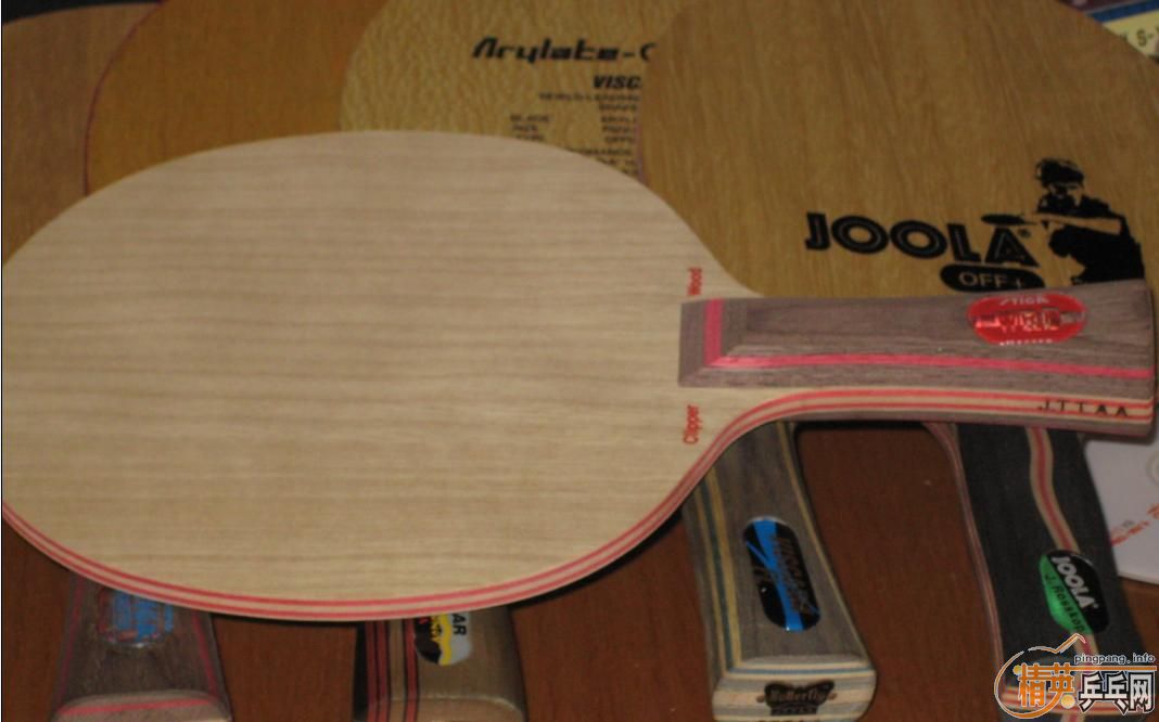 ��5��,VIVA,VIS,������,�հ�CL,300-600����