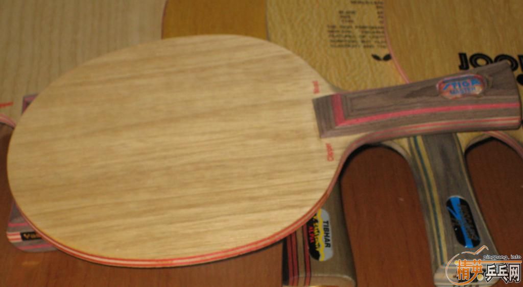 ��5��,VIVA,VIS,������,�հ�CL,300-600����