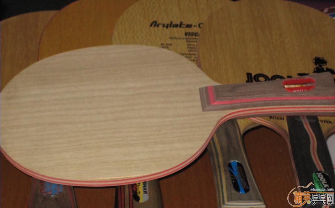 ��5��,VIVA,VIS,������,�հ�CL,300-600����