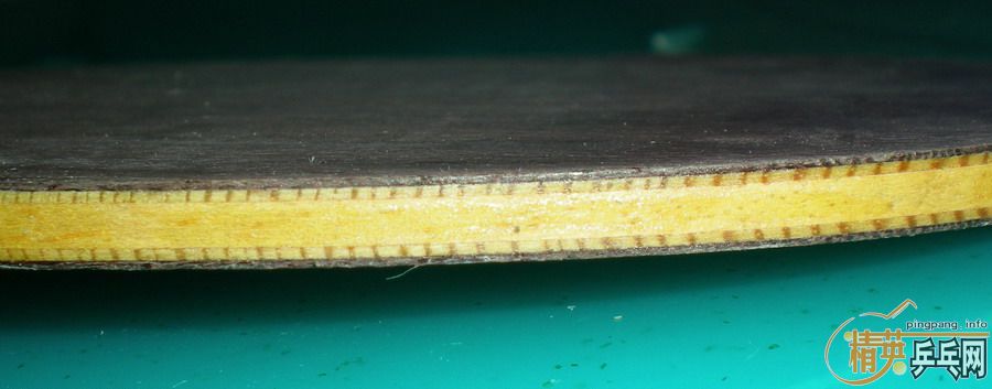 550�����08FL�����