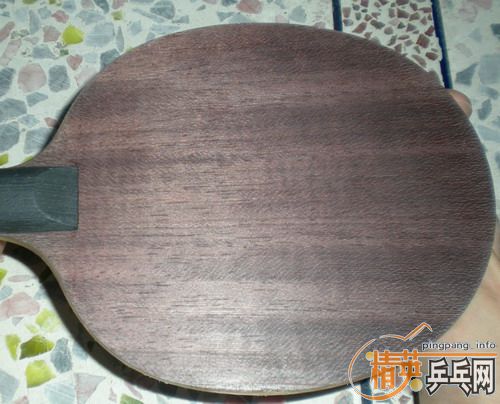 550�����08FL�����