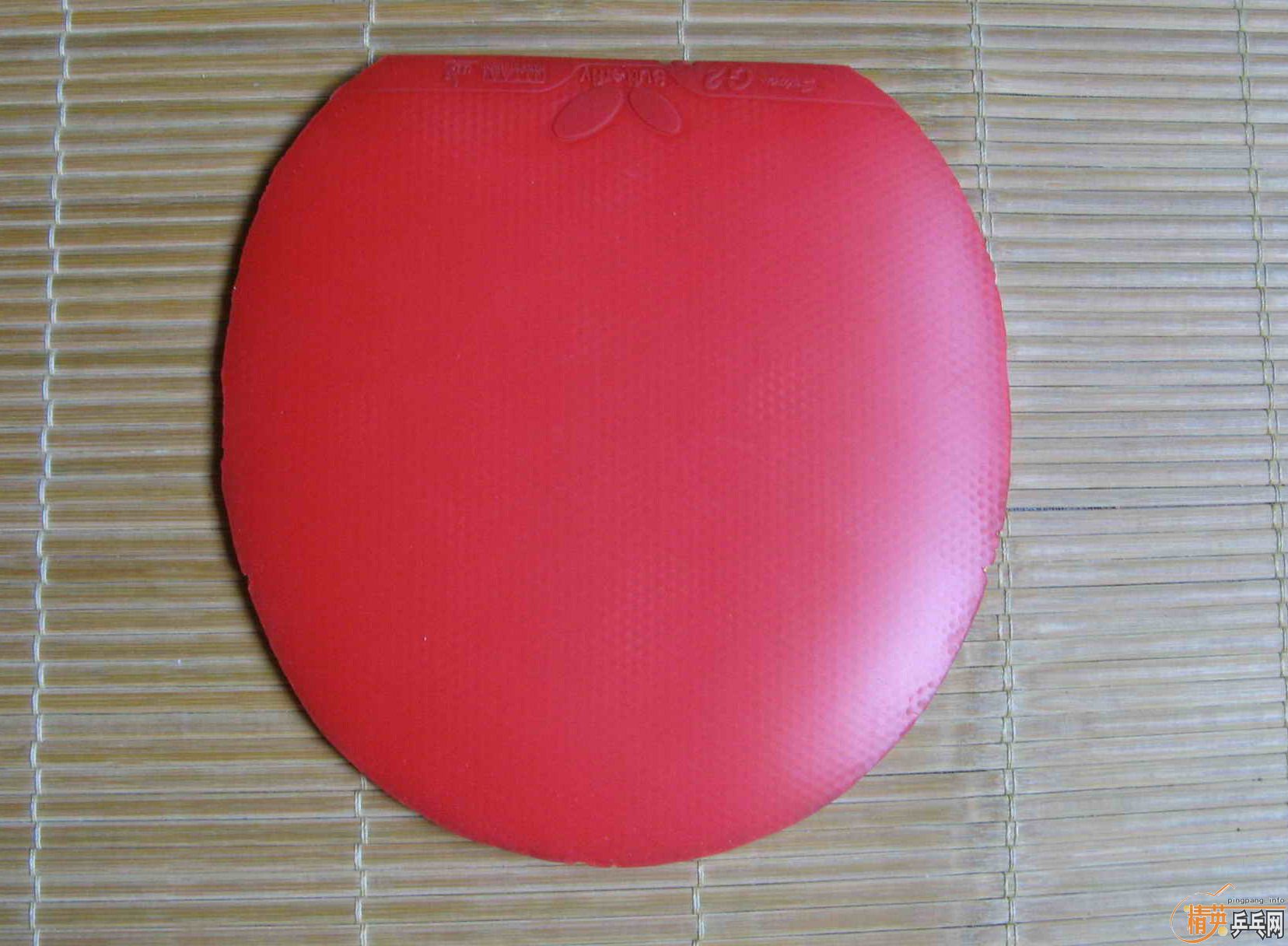 Sriver G2 2.1mm ���˳�