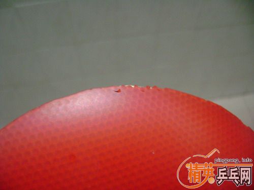 donic  jo  gold80���Һ�