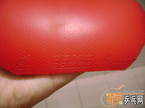 donic  jo  gold80���Һ�