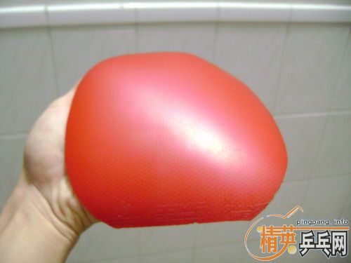 donic  jo  gold80���Һ�