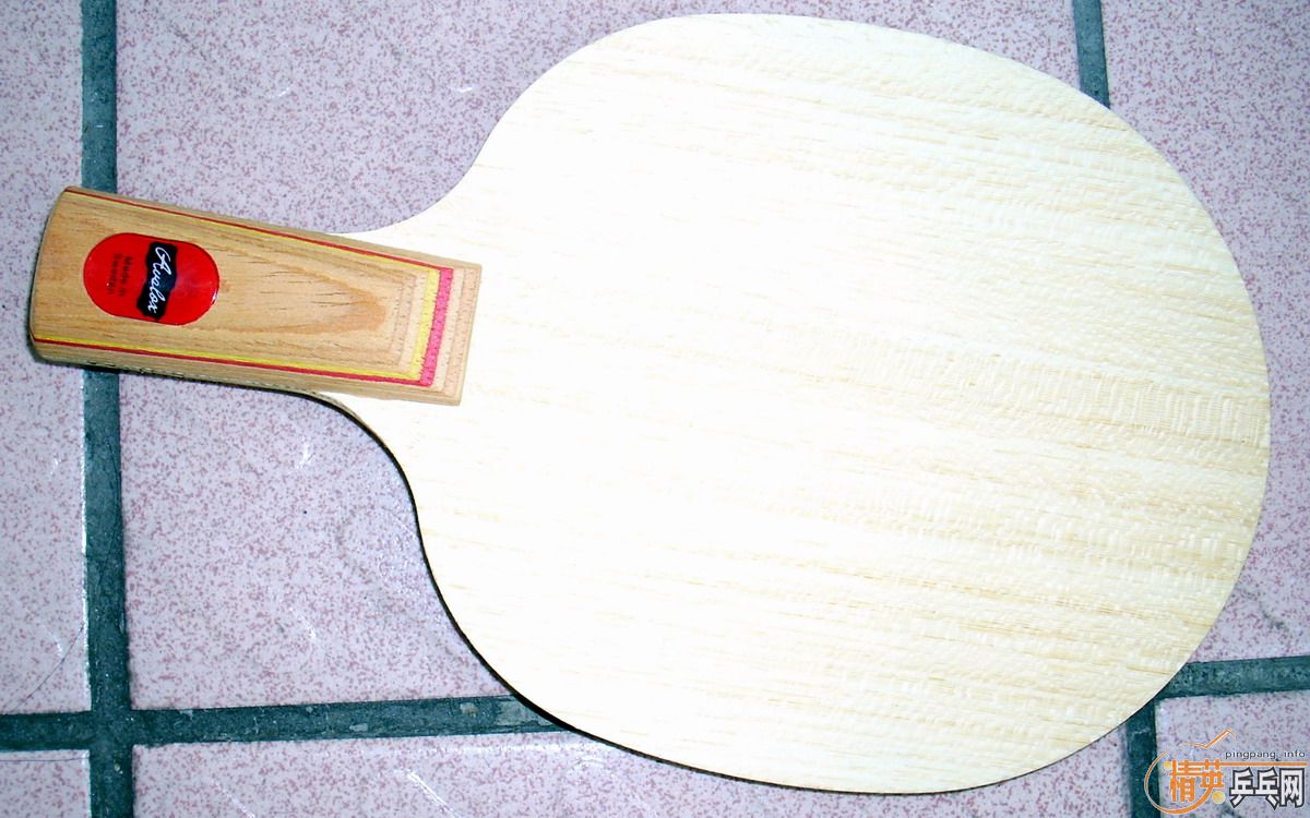 NP500 CS���������