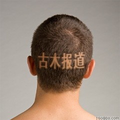 ����ÿ�ձ�������