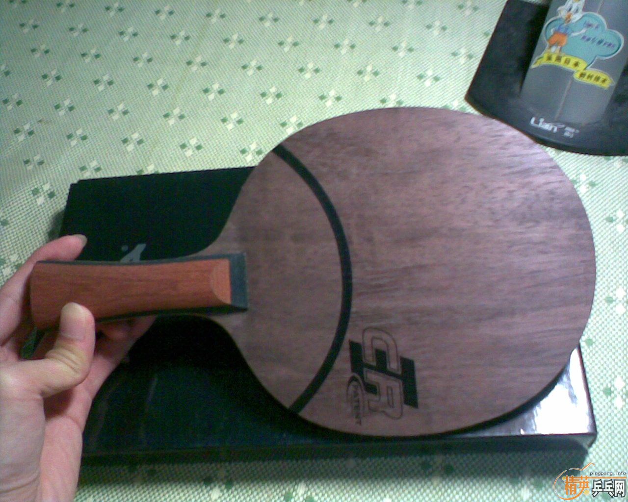 ����9.5��oc-cr �������׽�ร�