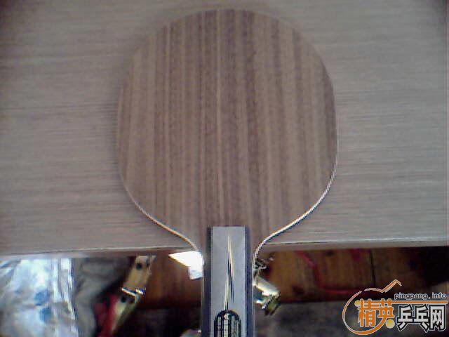 ���˳���9.8��YEO