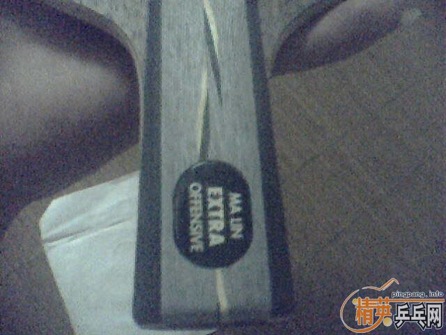 ���˳���9.8��YEO