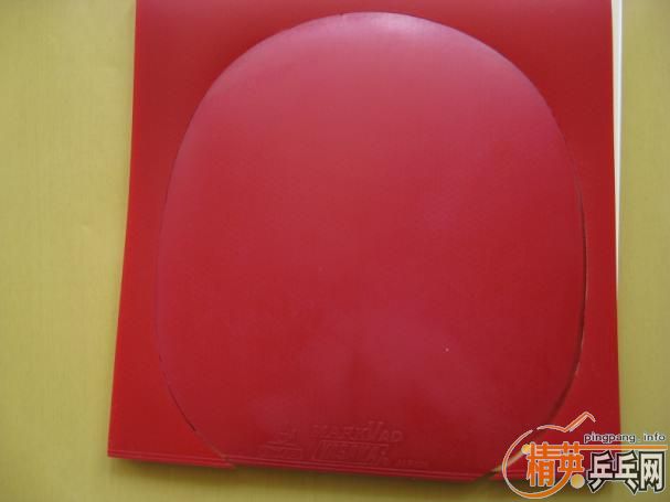 ����9���µ�YASAKA MARKV AD�׽�95Ԫ�����