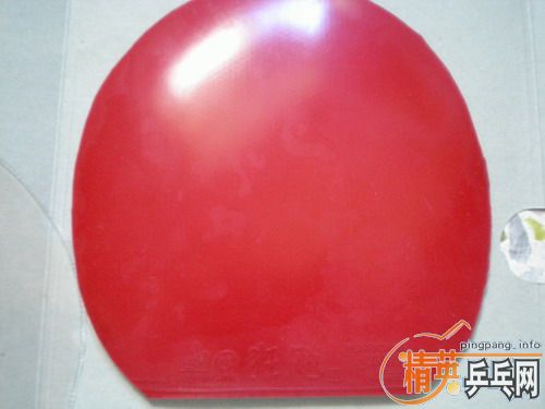 �������׽�