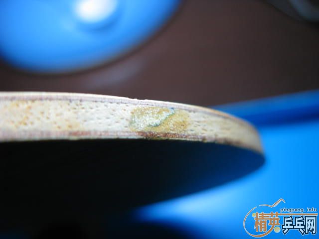 ת��NITTAKU�߲�����,SWORD���ƻ�Ȧ���һ��ͦ�ΰ�����.