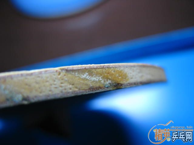 ת��NITTAKU�߲�����,SWORD���ƻ�Ȧ���һ��ͦ�ΰ�����.