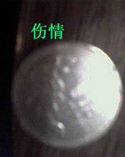 [ԭ��]98��OC�׼۳����򻻴�ľ������