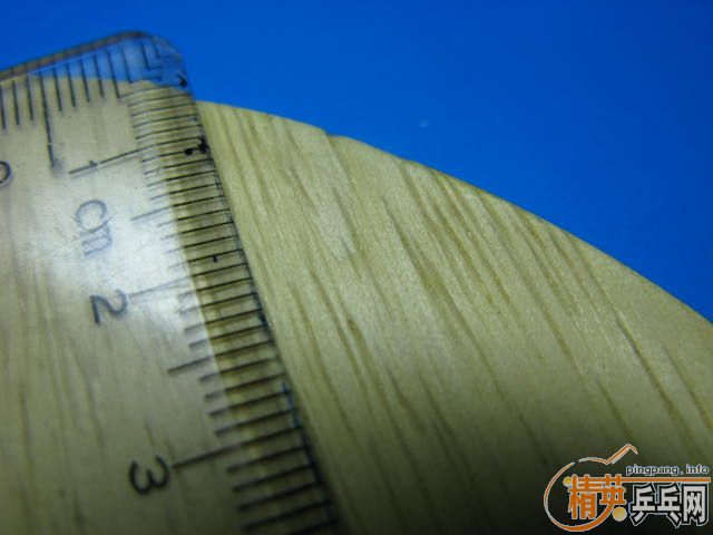 ת��NITTAKU�߲�����,SWORD���ƻ�Ȧ���һ��ͦ�ΰ�����.