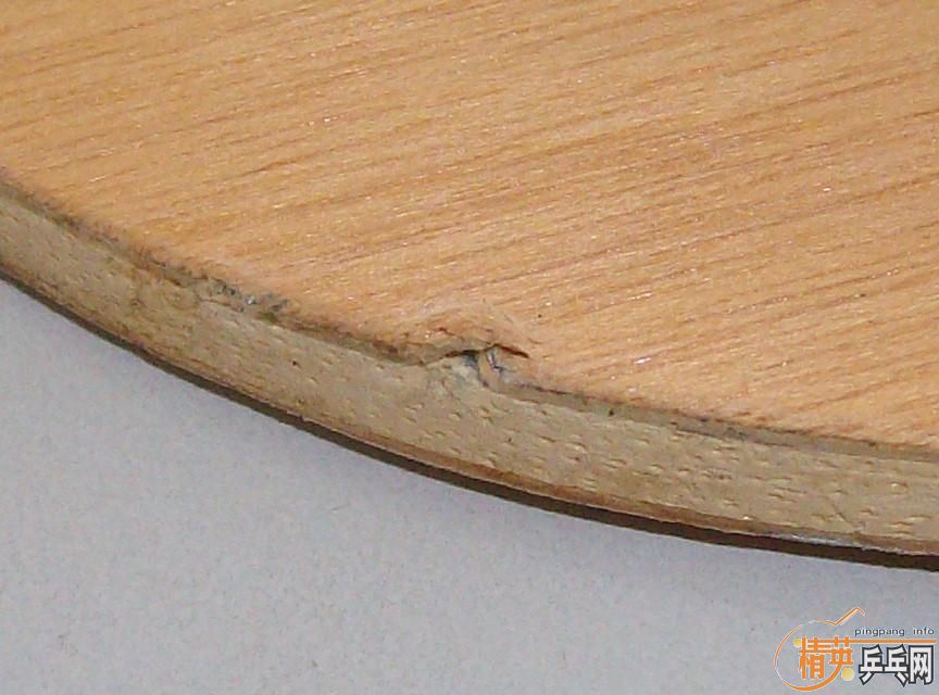 sirsday�뿴YE������