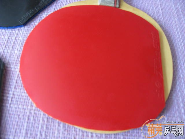 ת��NITTAKU�߲�����,SWORD���ƻ�Ȧ���һ��ͦ�ΰ�����.