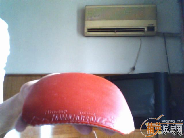 8.5���µ���ֱ������������ɵ»���Ƥ