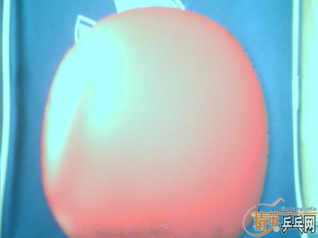 ������Ƥ