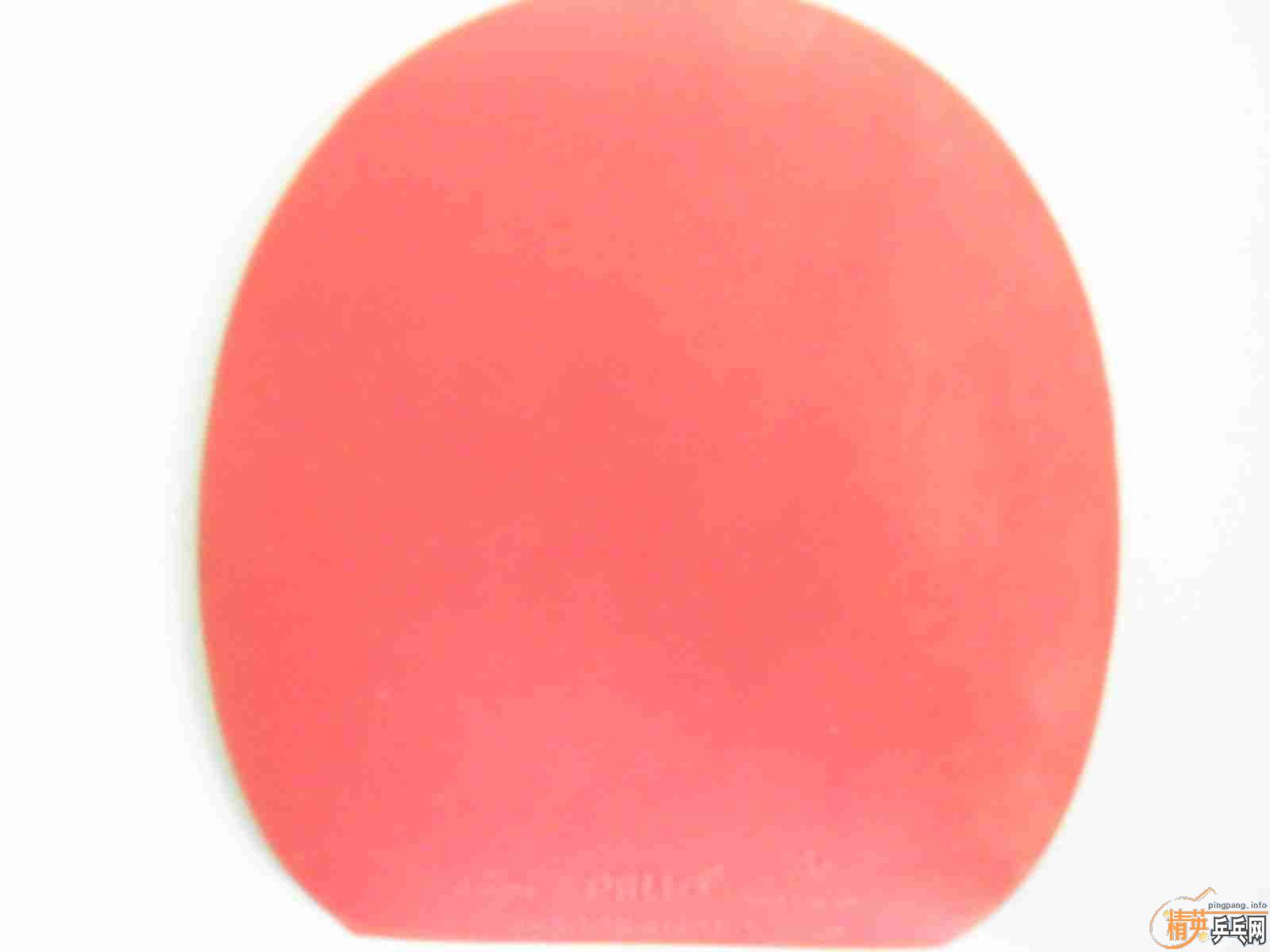 [�Ƽ�]�װ��׽�