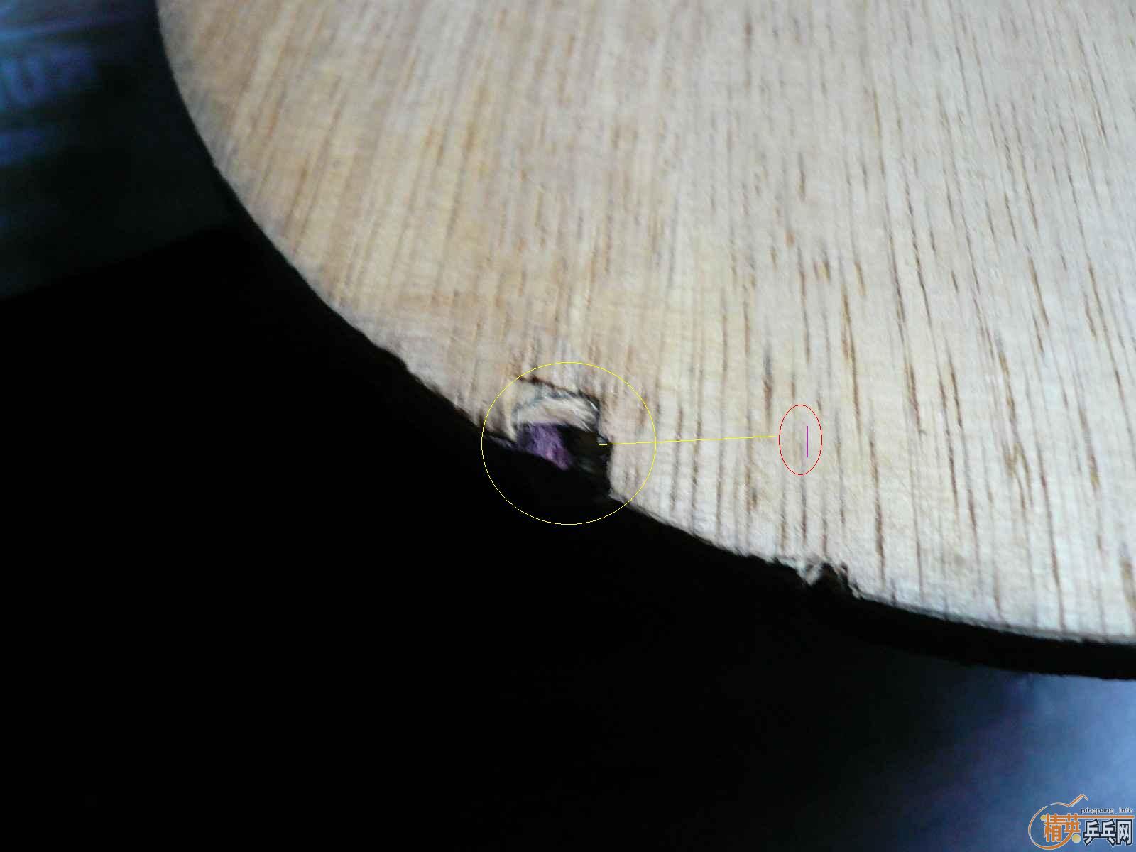 ʡ�ӵ�˹�ٿ�V-1 ��̼��һ��ᣬ��ͼ����ʡ��3�죬����������������ϣ���ͼ