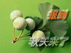 ����ÿ�ձ�������