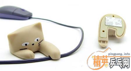 ����ÿ�ձ�������