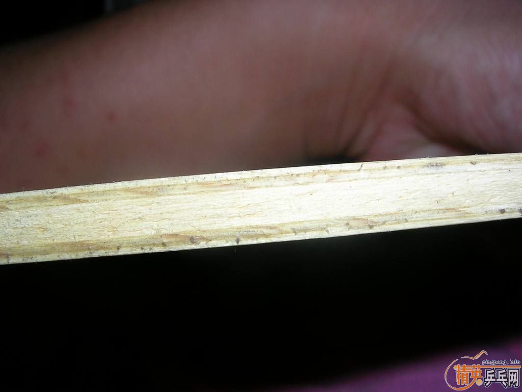 ת���������õװ壺������ac��niceshot ����