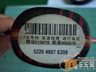 �����ѳ����