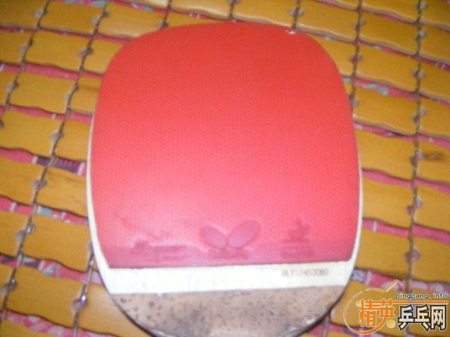 ��ֱ981+�������speed