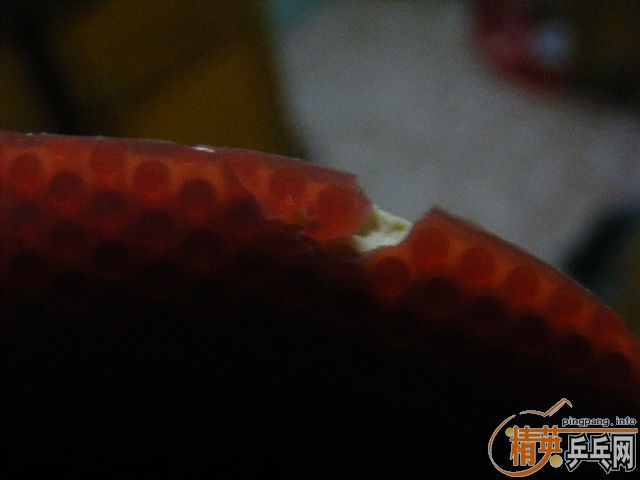 ��ֱ981+�������speed